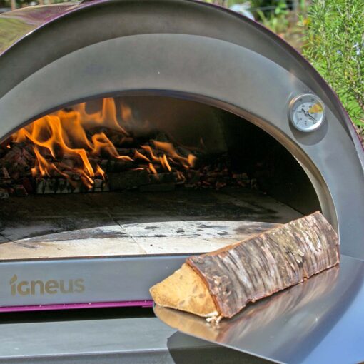 Igneus Classico wood fired pizza oven