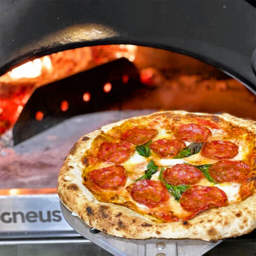 Igneus Classico wood fired pizza oven
