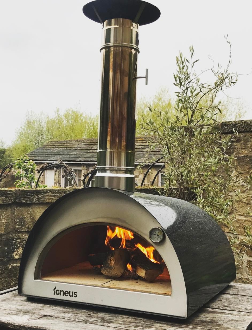 Igneus Classico pizza oven - Igneus Pizza Oven