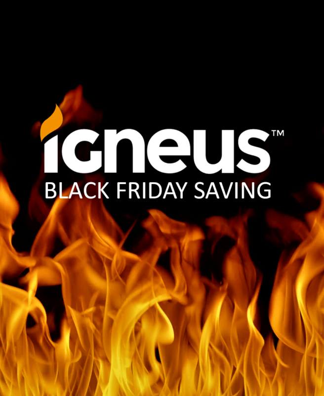 Igneus Pizza Oven