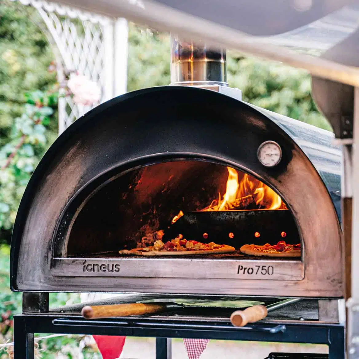 Igneus Pro 750 wood fired pizza oven