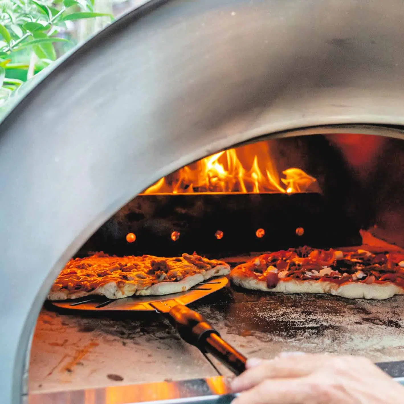 Igneus Pro 750 wood fired pizza oven