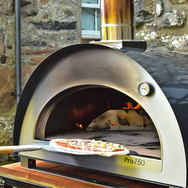 Igneus Pro 750 wood fired pizza oven