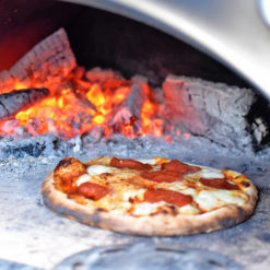 Igneus Pro 750 wood fired pizza oven