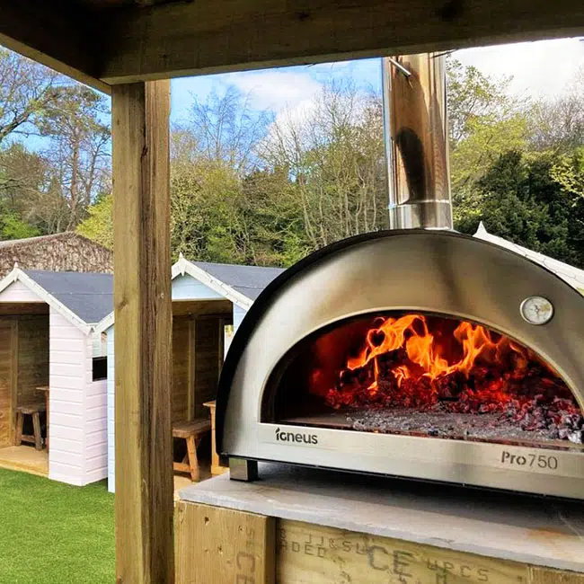 Igneus Pro 750 wood fired pizza oven