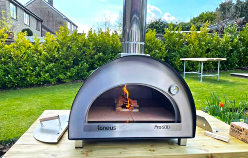 Igneus Pro 600 pizza oven