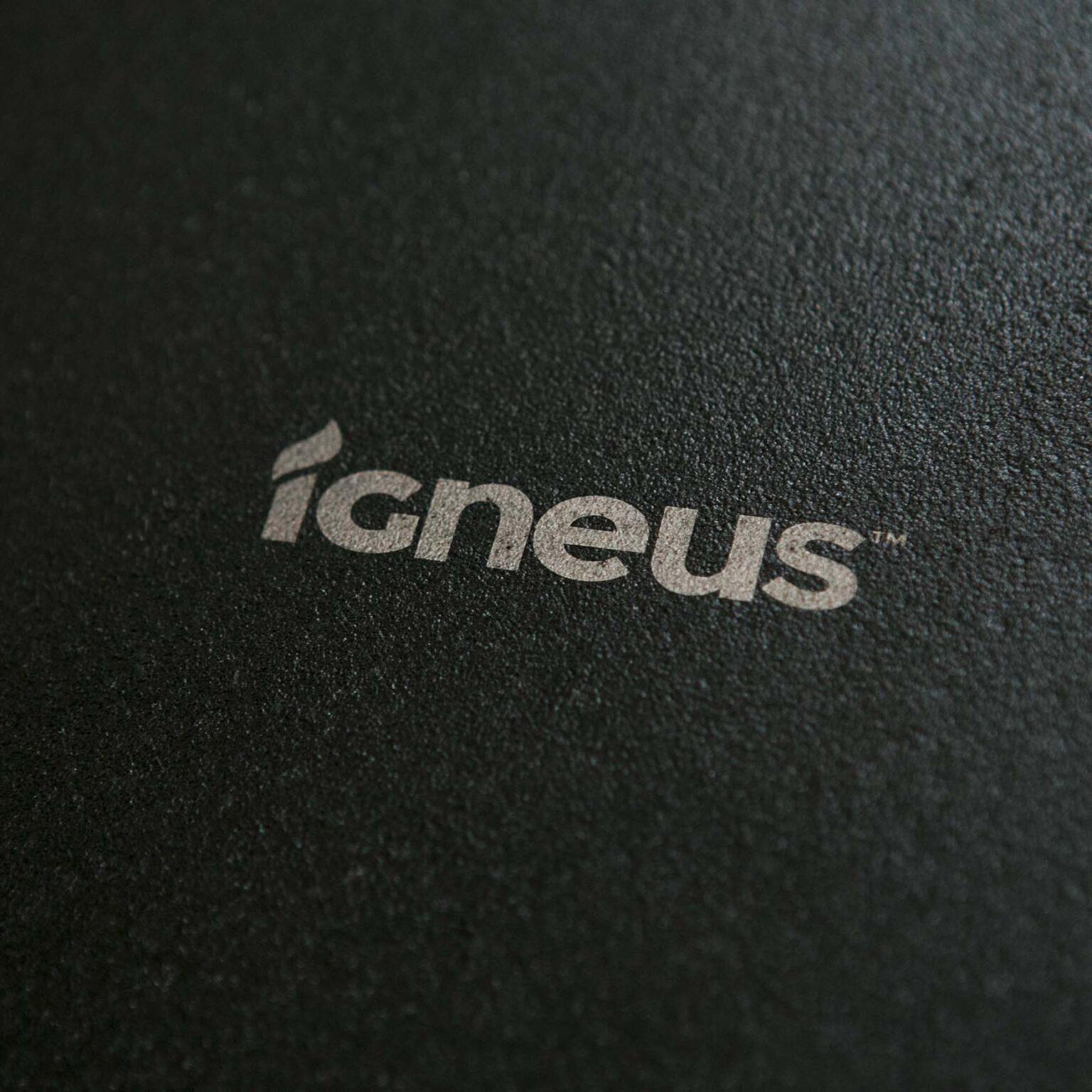 Igneus Cast Iron Roasting Pan - Igneus wood fired pizza oven - close up