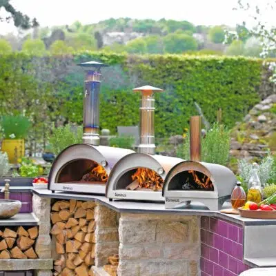 Igneus pizza oven range