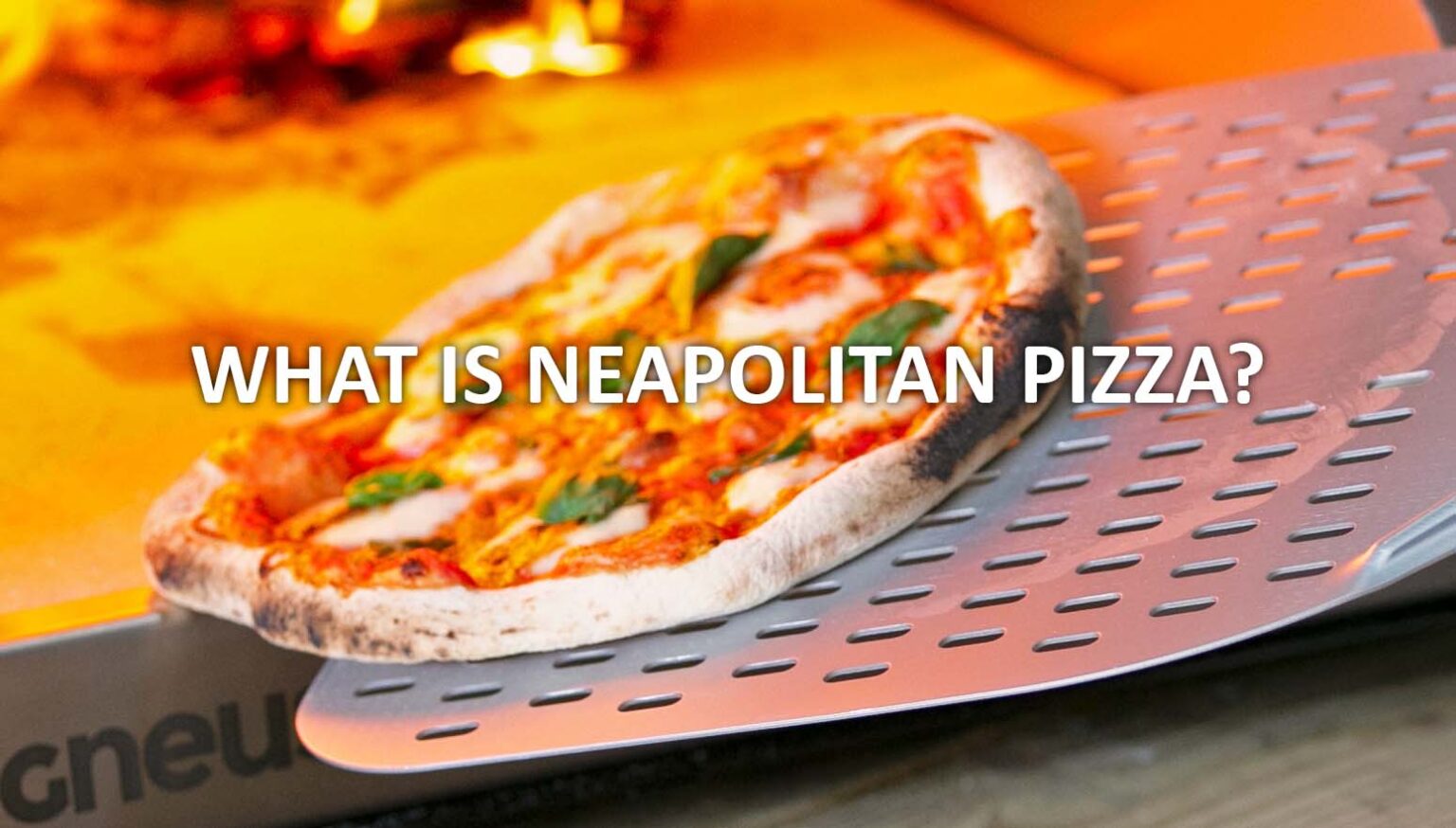 What is Neapolitan Pizza? IGNEUS WOOD FIRED PIZZA OVENS